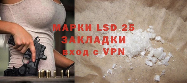 PSILOCYBIN Ельня