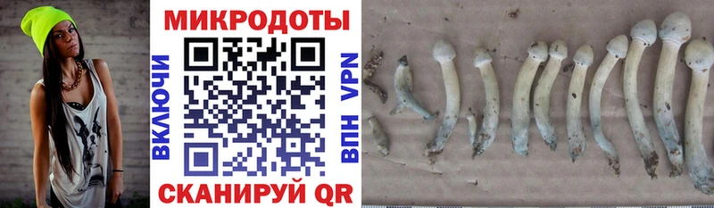 Галлюциногенные грибы мицелий  хочу наркоту  Кореновск 